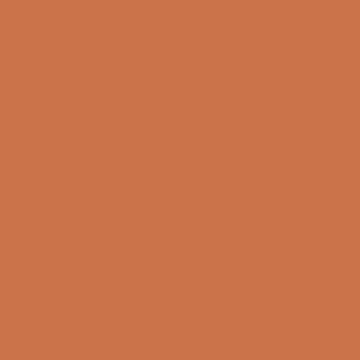Orangy Earth - NP YO 2434 A