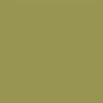 Oregano Leaves - NP AC 2127 A