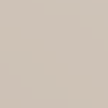 Oyster Gray - NP N 3382 P
