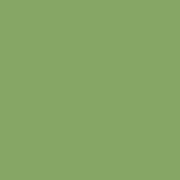 Painter's Leaf - NP BGG 1786 D