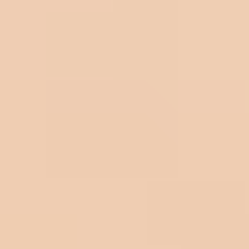 Parchment Paper - NP N 3145 P