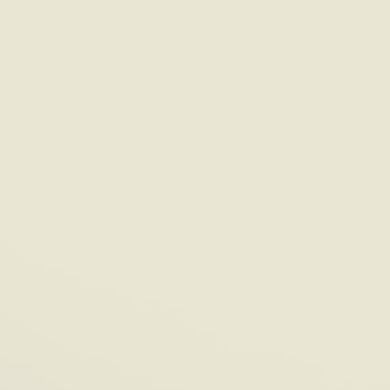 Peaceful White - NP OW 1009 P