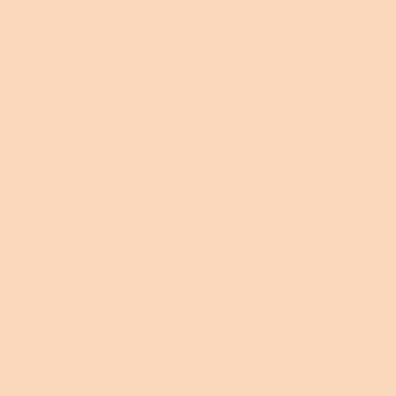 Pekoe Orange - NP YO 2421 P