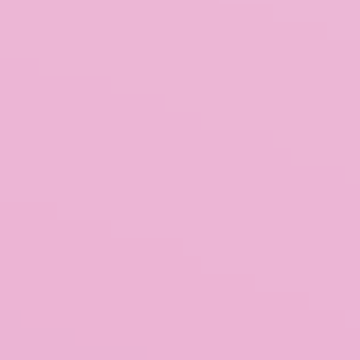 Pink Berret - NP R 1311 P