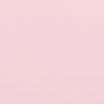 Pink Cruiser - NP R 2321 P