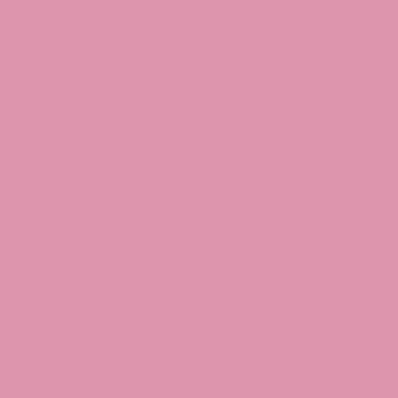 Pink Joy - NP R 1336 T