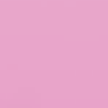 Pink Rally - NP R 1304 T