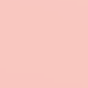 Pink Stockings - NP R 1270 P