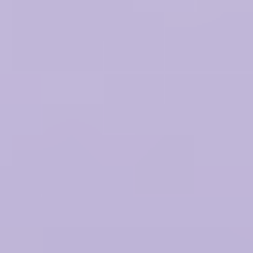 Pointed Hat - NP PB 2939 P