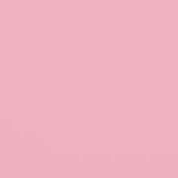 Pomponette - NP R 1291 P
