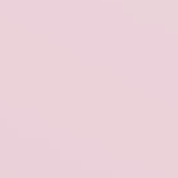 Pretty Tint - NP R 2296 P
