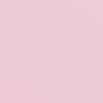 Privacy Pink - NP R 1334 P