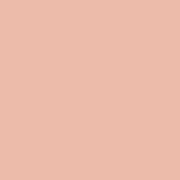 Pueblo Peach - NP R 1362 P