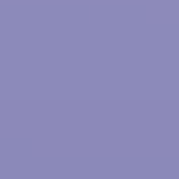 Purple Lights - NP PB 1448 T