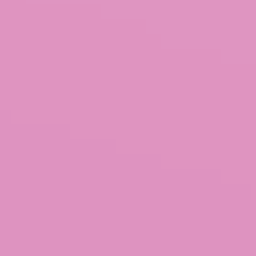 Raspberry Roll - NP R 2284 T