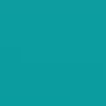 Real Teal - NP BGG 2744 A