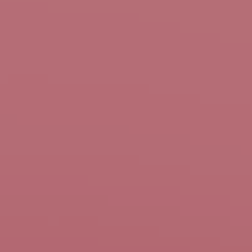 Remember Rose - NP R 1345 D