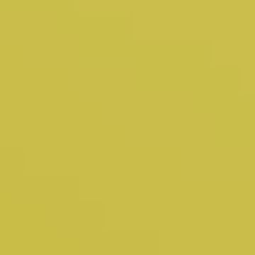 Rich Mustard - NP YO 2568 A