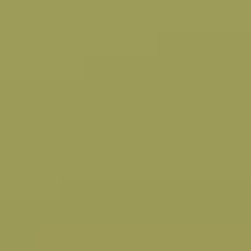 Ripe Kiwi - NP BGG 2598 A