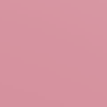 Rose Bud - NP R 2323 T