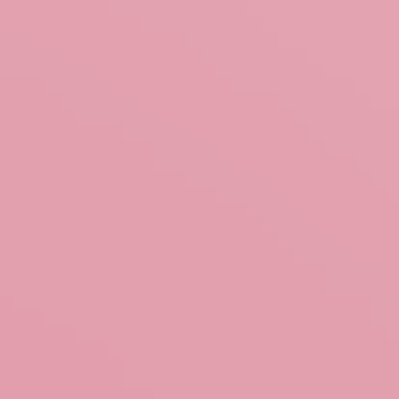 Rose Bundle - NP R 2327 T