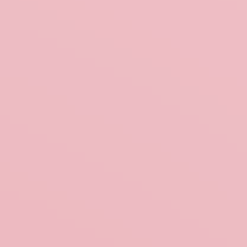 Rose Shade - NP R 1342 P