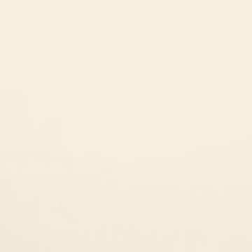 Rose White - 1143