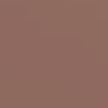 Roxbury Brown - NP N 1891 D