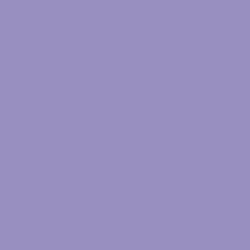Royal Carriage - NP PB 2940 T