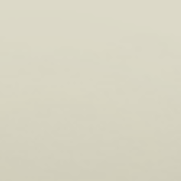 Rustic Beige – 0823