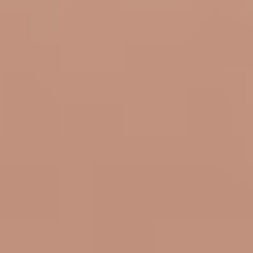 Rustic Leather - NP R 1378 T