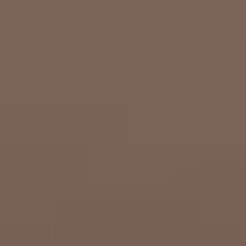 Saddle Brown - NP N 1883 A