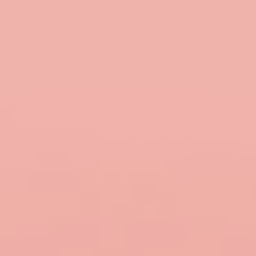 Salmon Bisque - NP R 1356 P