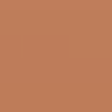 Salted Caramel - NP N 3155 A