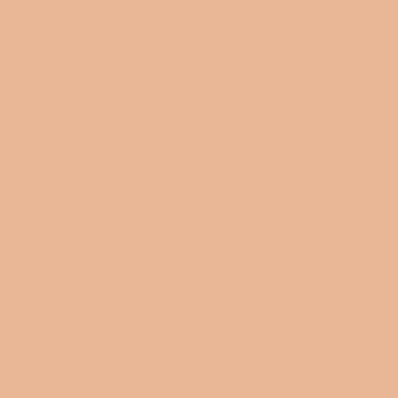 Sculpted Clay - NP N 3152 P