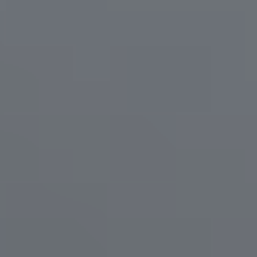 Silhouette Gray - NP N 1989 D