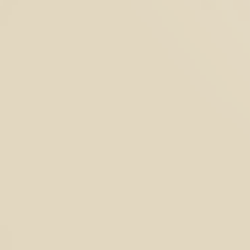 Silk Ribbon - NP OW 2249 P