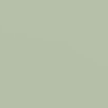 Skylark - NP BGG 1755 T
