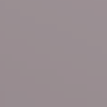 Smoked Velvet - NP N 3336 T