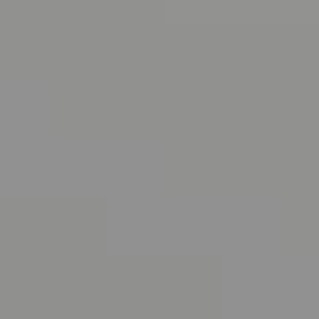 Smoking Gray - NP N 2045 T