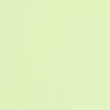 Soft Fern - 9074