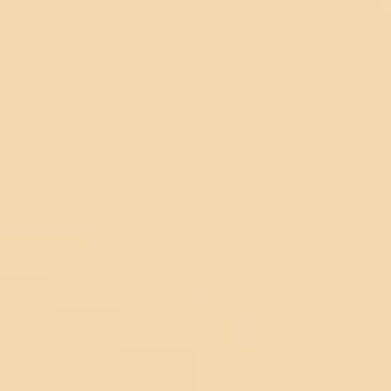 Spoonbread - NP YO 1171 P