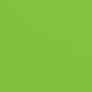 Sports Green - NP BGG 2617 A