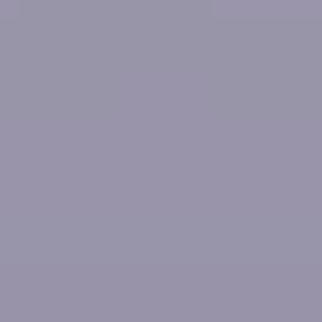 Springstep - NP N 1955 T