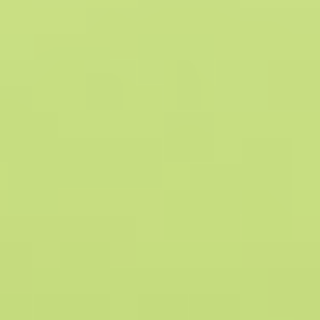 Spritely Step - NP BGG 2606 D