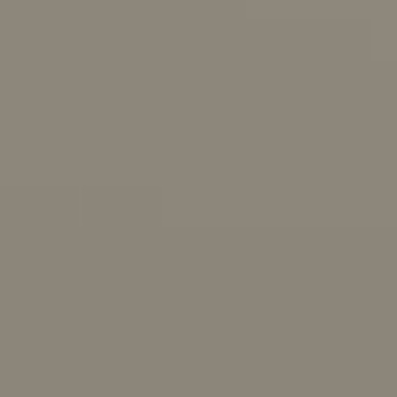Stingray Gray - NP N 3405 D