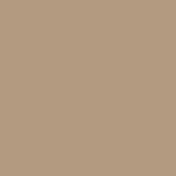 Stylish Auburn - NP N 3196 T