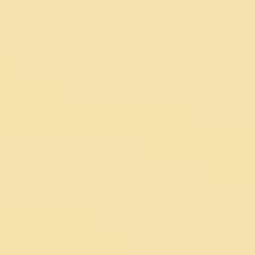 Summer Place - NP YO 2493 P