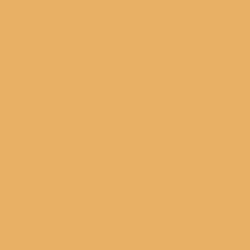 Sunflower Island - NP YO 2470 D