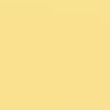 Sunny Side Up - NP YO 2519 P